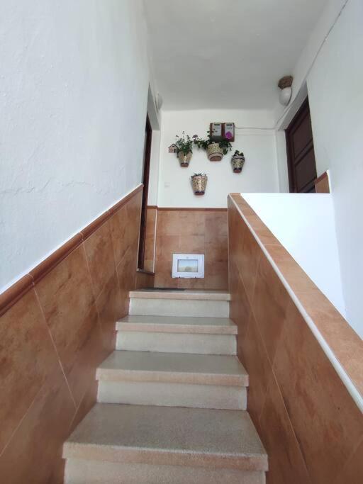 La Casita Villa Cortes de la Frontera Dış mekan fotoğraf